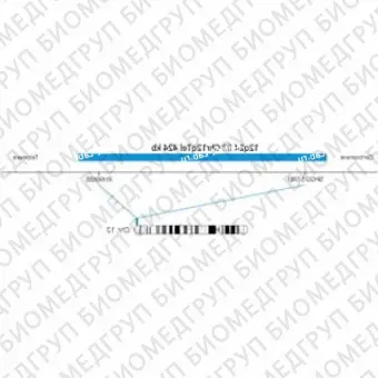 ДЛЯ КЛИЕНТОВ ЗА ПРЕДЕЛАМИ США. SureFISH 12q24.33 Chr12qTel 424kb P20 BL