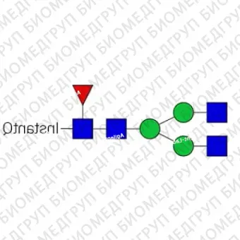 Nгликан AdvanceBio InstantQ G0F/FA2 асиало, агалакто, биантеннарный комплексный Nгликан, замещенный фукозой ранее ProZyme. Nгликан, помеченный InstantQ, для использования в качестве качественного стандарта с системой анализа гликанов GlyQ. Альте