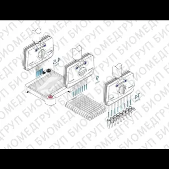 Автоматическая пипетка электронная 501200 мкл,  4канальная, с переменным расстоянием между наконечниками Xplorer plus Move It, Eppendorf, 4861000833