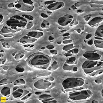 Фильтр, Экспресс, d пор 0,45 мкм, d мембраны 13 мм, 100 шт., Merck Millipore, HPWP01300