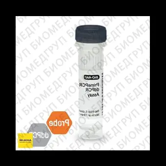 Набор KRAS G12V мутация PrimePCR ddPCR, 200 реакций, BioRad, 1863115