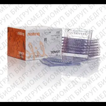 Гель полиакриламидный Bolt BisTris Mini Protein Gel, 8 х 8 см, 10 лунок, 4  12, Thermo FS, NW04120BOX, 10 шт./уп.