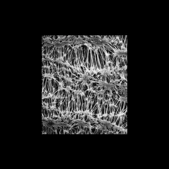 Фильтр, Флуоропор, d пор 0,5 мкм, d мембраны 37 мм, 100 шт., Merck Millipore, FHLP03700