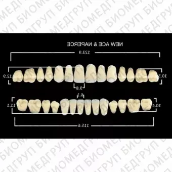 Гарнитуры пластмассовых зубов S2 M30, цвет А2, в боксе, 20 гарнитур