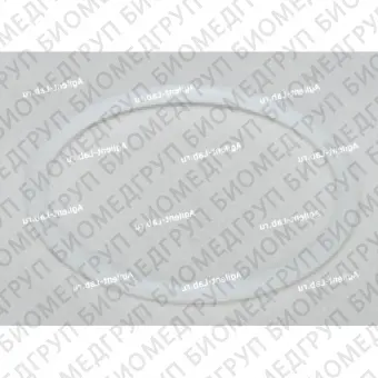 УПЛОТНИТЕЛЬНОЕ КОЛЬЦО ФРИТА TFE 1 L и L