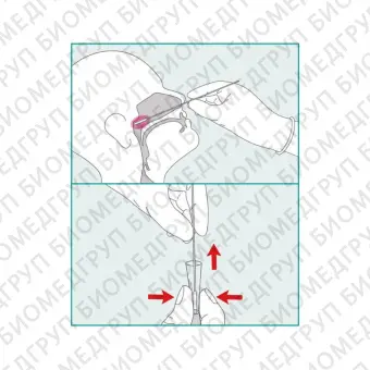 Экспресстест COVID19 COVID19 ANTIGEN RAPID TEST