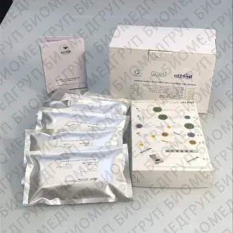POC анализатор COVID19 BEC RTLAMP KIT