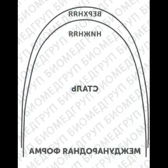 Дуги ортодонтические международная форма нижние INT NiTi TA L .016x/.022/.41x.56