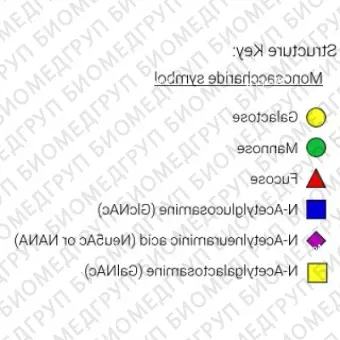 AdvanceBio InstantQ G2S1 2,6/A2G2S61 Nгликан ранее ProZyme. Nгликан моно2,6сиалилированный, галактозилированный двухантенный, меченный InstantQ, для использования в качестве качественного стандарта с системой анализа гликанов GlyQ. Альтер