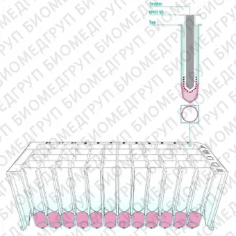 Микропластина с магнитным разделителем Riplate magnetic