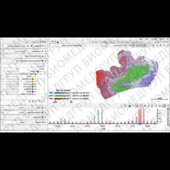 Программное обеспечение для массспектрометрии SCiLS Lab