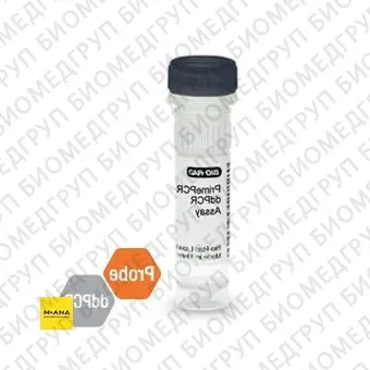 Набор IDH2 R172K мутация PrimePCR ddPCR, 200 реакций, BioRad, 1863134