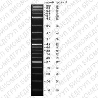 Маркер длин ДНК QuickLoad 1 kb Plus, 10010000 п.н., 19 фрагментов от 100 до 10000 п.н., готовый к применению 100 мкг/мл, New England Biolabs, N0469 S, 1,25 мл