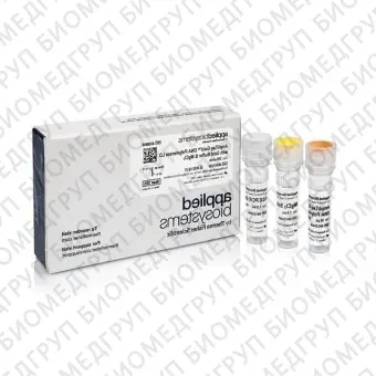 ДНКполимераза AmpliTaq Gold DNA Polymerase LD Low DNA with Gold Buffer and MgCl2, Thermo FS, 4338857, 1000 единиц
