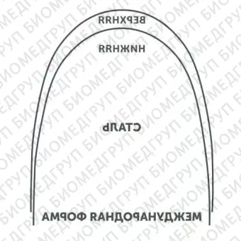Дуги ортодонтические международная форма нижние БетаТитан INT BT L .017x.025/.43x.64