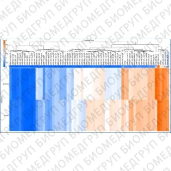 Панель для профилирования миРНК, Multiplex miRNA Assay Neurology Panel  Circulating, Abcam, ab204066, 96 тестов