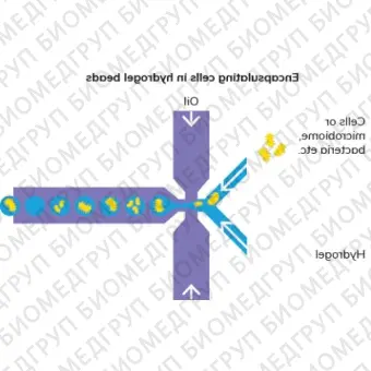 Система инкапсуляции клеток Encapsulator, Dolomite Microfluidics, 3200558