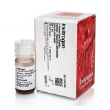 Реагент для изоляции экзосом Exosome-Human CD63 Flow Detection Reagent, Thermo FS, 10618D, 2 мл