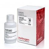 Реагент для выделения экзосом Total Exosome Isolation Reagent (из мочи), Thermo FS, 4484452, 50 мл