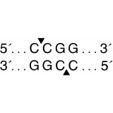 Эндонуклеаза рестрикции HpaII, 10 000 ед/мл, New England Biolabs, R0171 L, 10 000 единиц