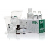 Набор RNAqueous Total RNA Isolation Kit, Thermo FS, AM1912, 50 выделений