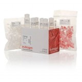 Набор PureLink Quick Plasmid Miniprep Kit, Thermo FS, K210011, 250 выделений