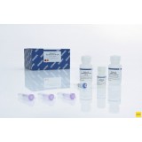 Набор для выделения ДНК из гелей QIAquick Gel Extraction Kit, Qiagen, 28706, 250 выделений