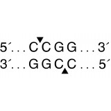 Эндонуклеаза рестрикции MspI, 20 000 ед/мл, New England Biolabs, R0106 L, 25 000 единиц