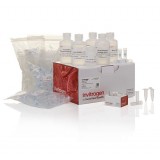 Набор PureLink HQ Mini Plasmid DNA Purification Kit, Thermo FS, K210001, 100 выделений