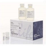 Набор для выделения ДНК, MagMAX Cell-Free DNA Isolation Kit, Thermo FS, A29319, 1 набор