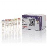 Набор для проведения прямой ПЦР Phusion Blood Direct PCR Kit из цельной крови без предварительного выделения ДНК, Thermo FS, F547L, 500 реакций