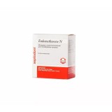 ENDOMETHASONE N (ЭНДОМЕТАЗОН Н) пломбировочный материал, 14 гр.+10 мл.