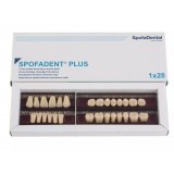 Spofadent Plus (А3,5) 1/40-0/7-1/62