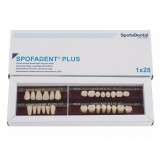 Spofadent Plus (С2) 52-0/5-1/60