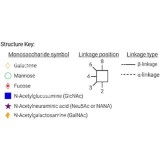 Стандарт N-гликанов AdvanceBio G2FS2 α(2,6) / FA2G2S(6)2 (ранее ProZyme)