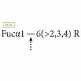 GKX-5006, Устаревший. α(1-2,3,4,6)-Фукозидаза (бычья почка) (ранее ProZyme). Широкая специфика; высвобождает невосстанавливающую концевую α(1-2,3,4,6)-связанную фукозу из N- и O-гликанов. Расщепляет фукозу ядра α(1-6) (связанную с са