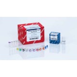 Набор QIAseq Stranded mRNA Select Kit для подготовки библиотек мРНК(24 реакции)