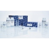 Набор QIAGEN Plasmid Plus Midi Kit для выделения плазмидной ДНК(25 реакций)