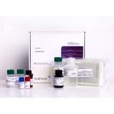 Набор реагентов SVANOVIR® Neospora-Ab для обнаружения антител к неоспорозу КРС методом ИФА(2 планшета)