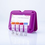 Набор реагентов virotype® PRRSV RT-PCR для обнаружения вируса РРСС методом Real-Time PCR(96 реакций)